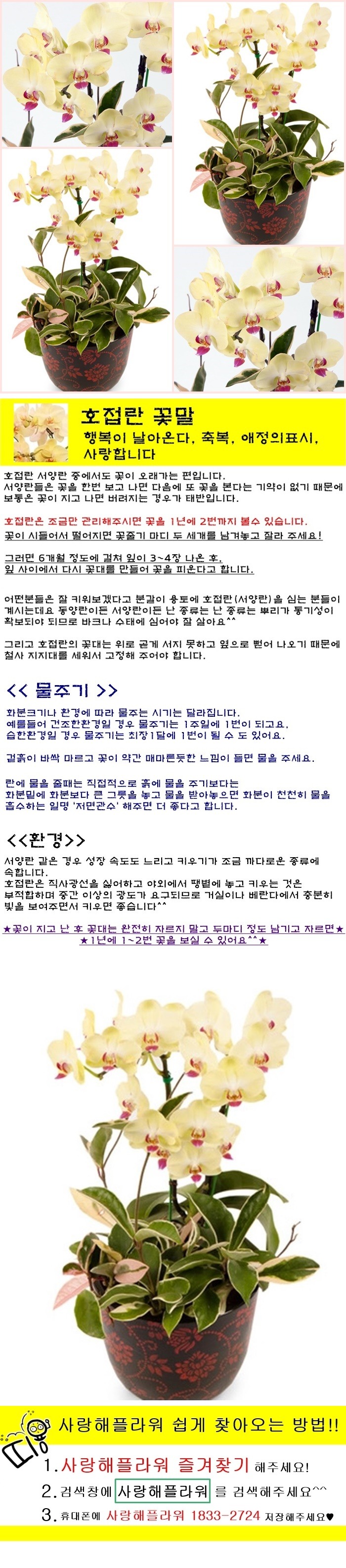 상세이미지
