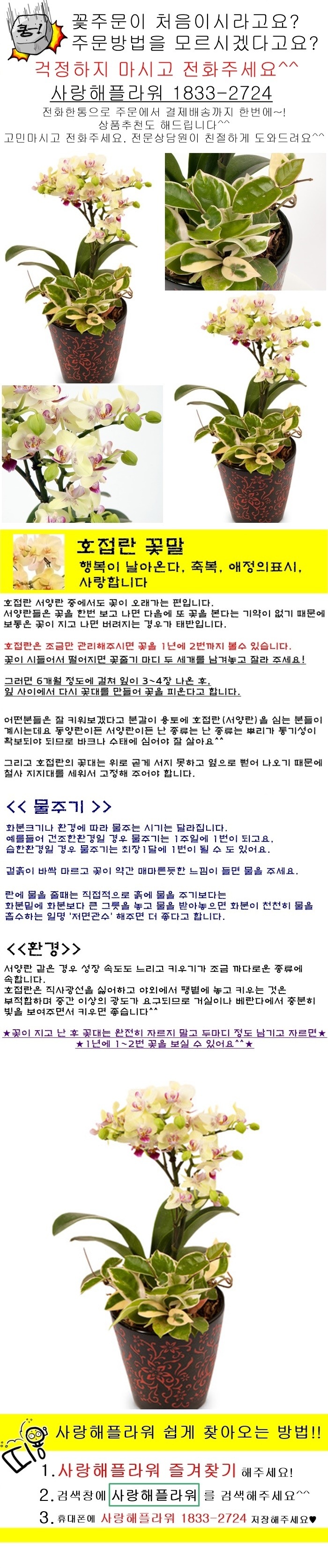 상세이미지