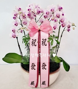 8.리틀잼 특대형
