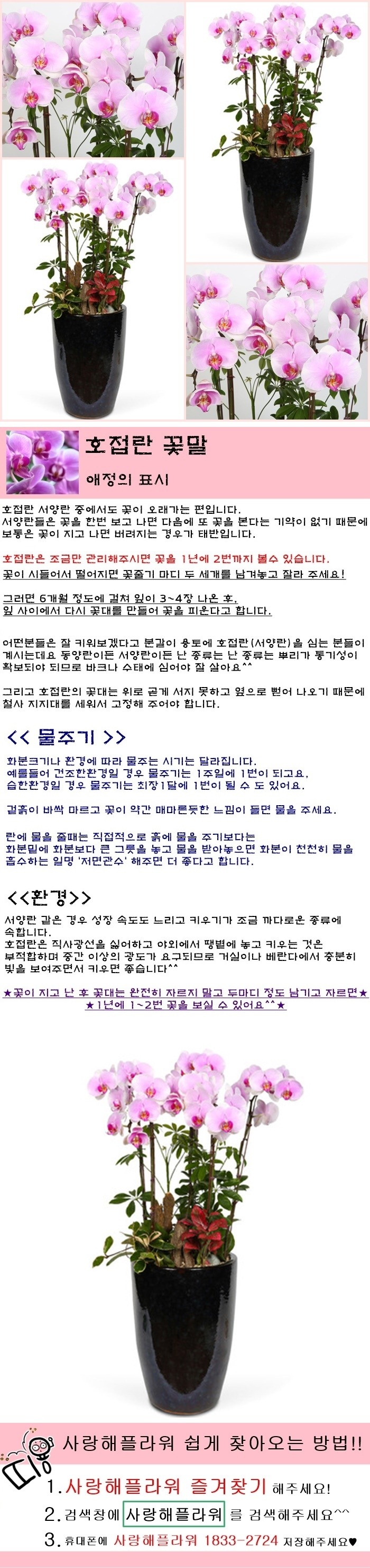 상세이미지