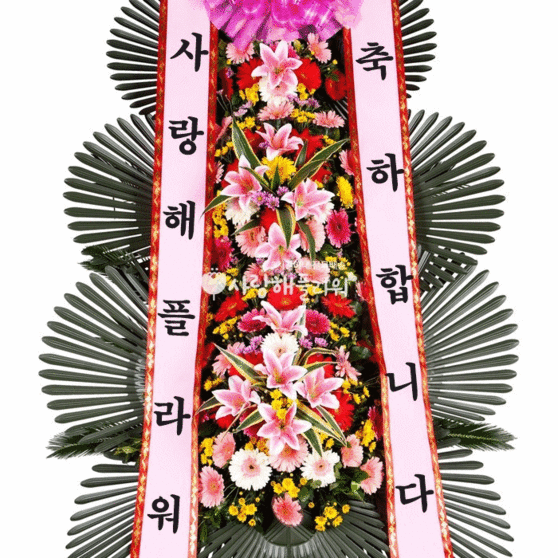 ★초특가 축하3단★새꽃사용★