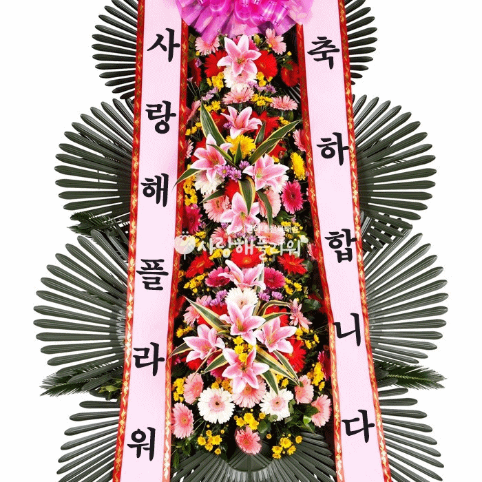 상세이미지