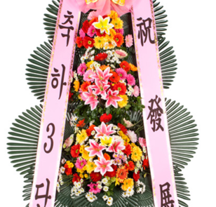 축하3단(많이찾으세요^^)