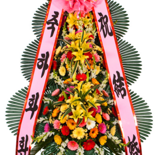 축하3단DO