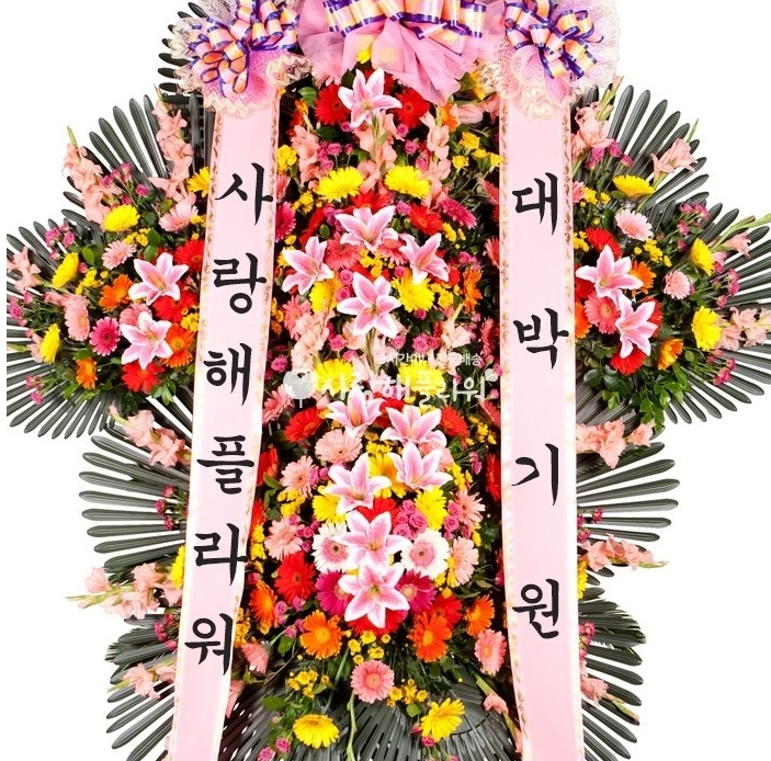 상세이미지
