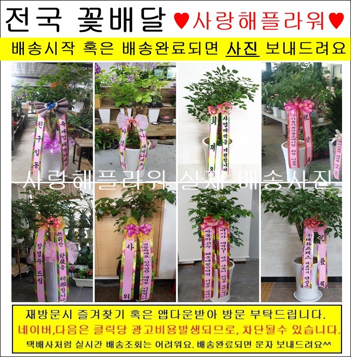 상세이미지