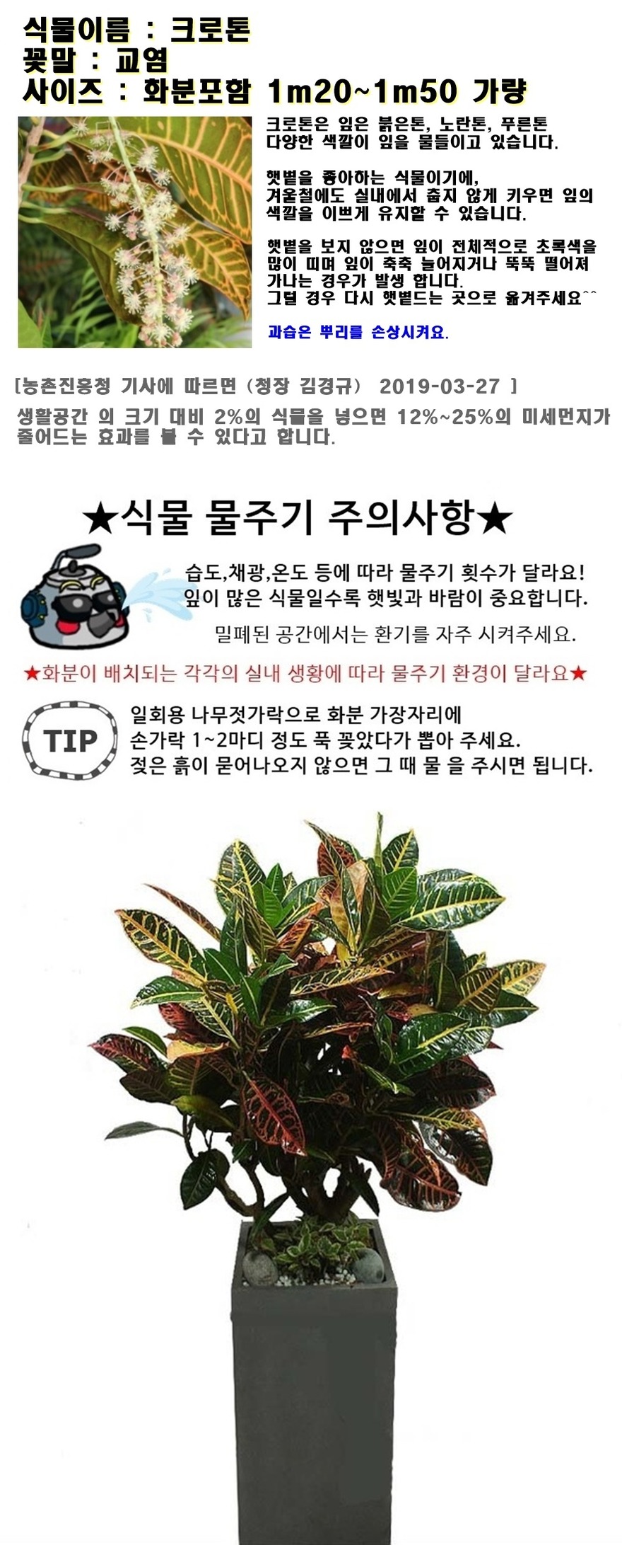 상세이미지
