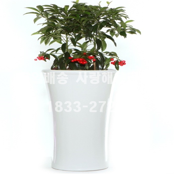 상세이미지