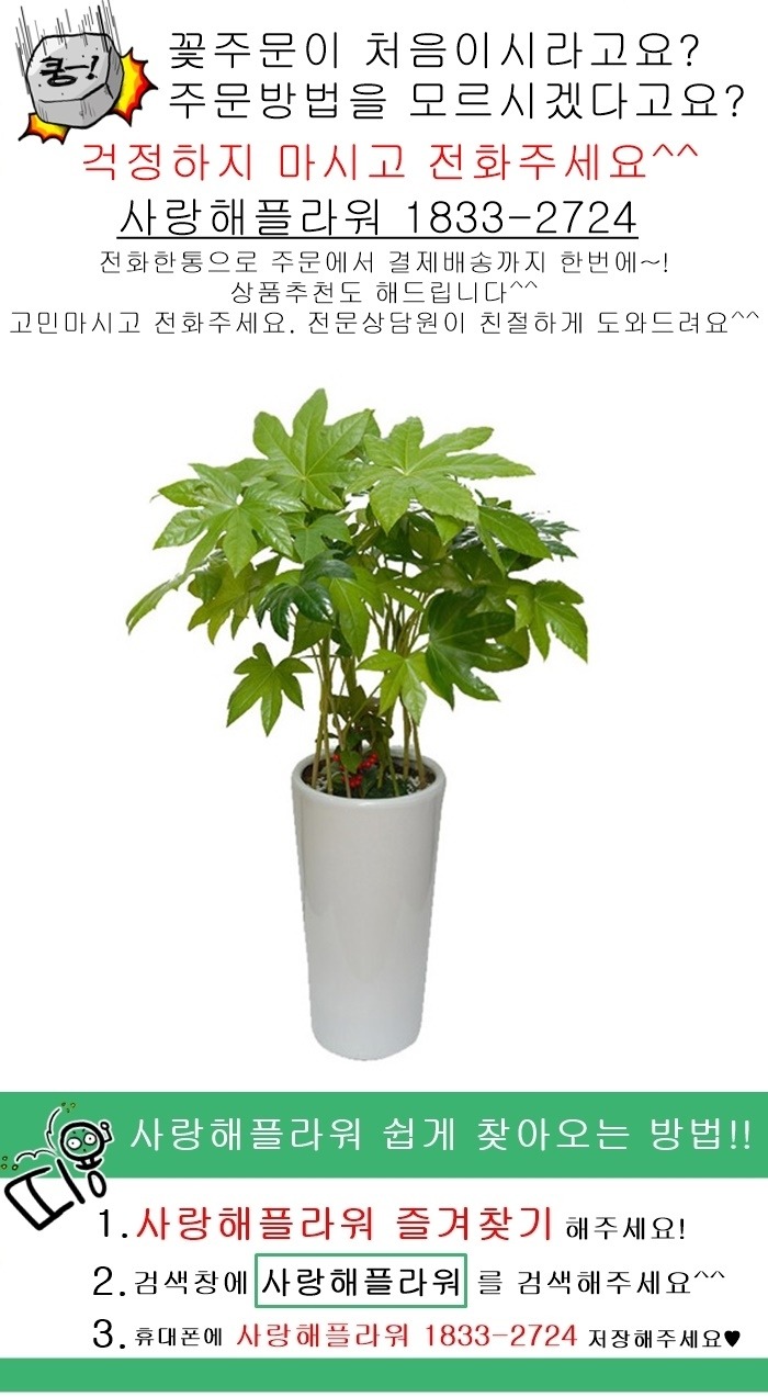 상세이미지