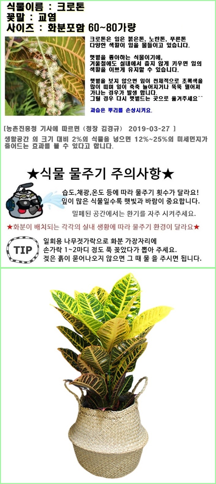 상세이미지