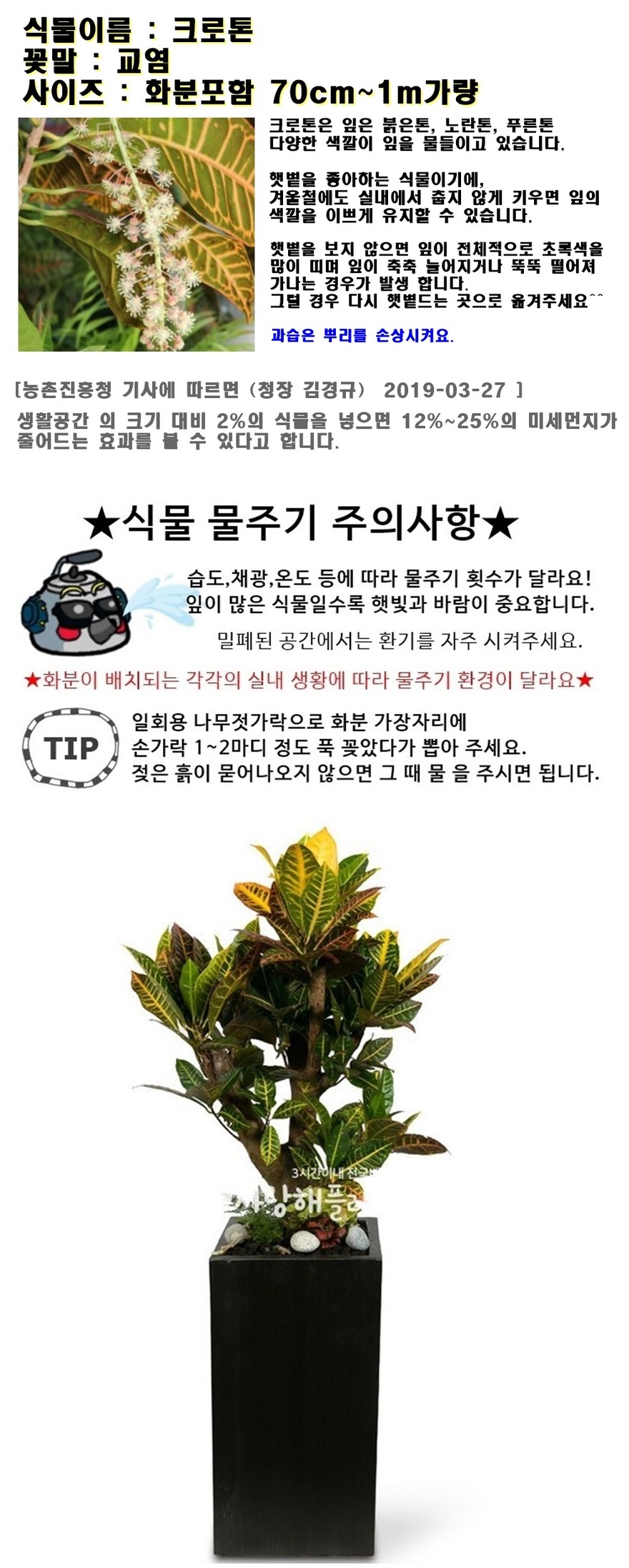 상세이미지