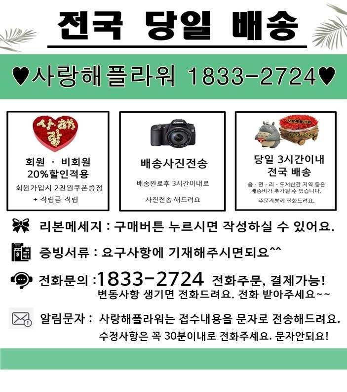 상세이미지