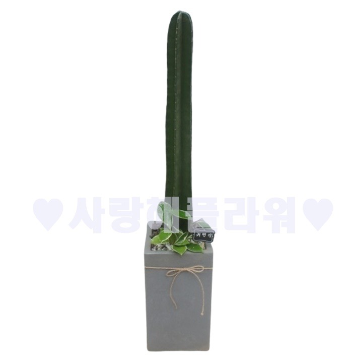 상세이미지