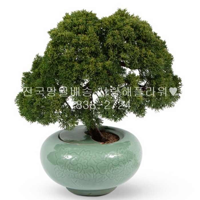 상세이미지