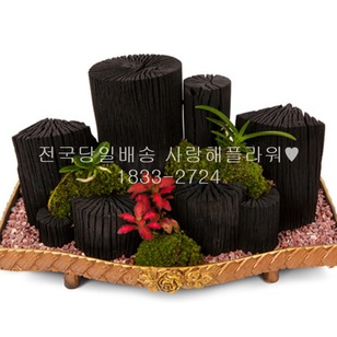 숯부작 120
