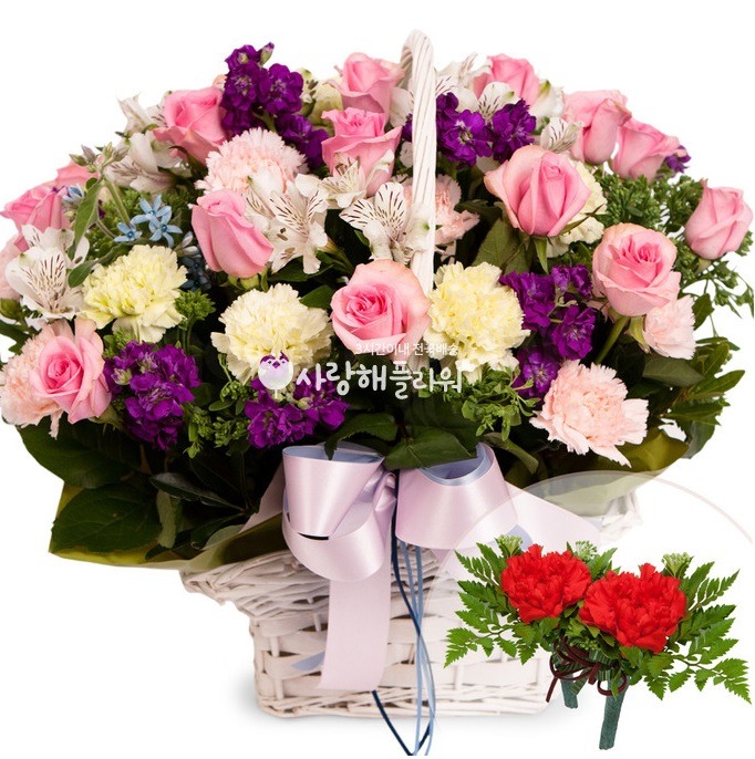 상세이미지