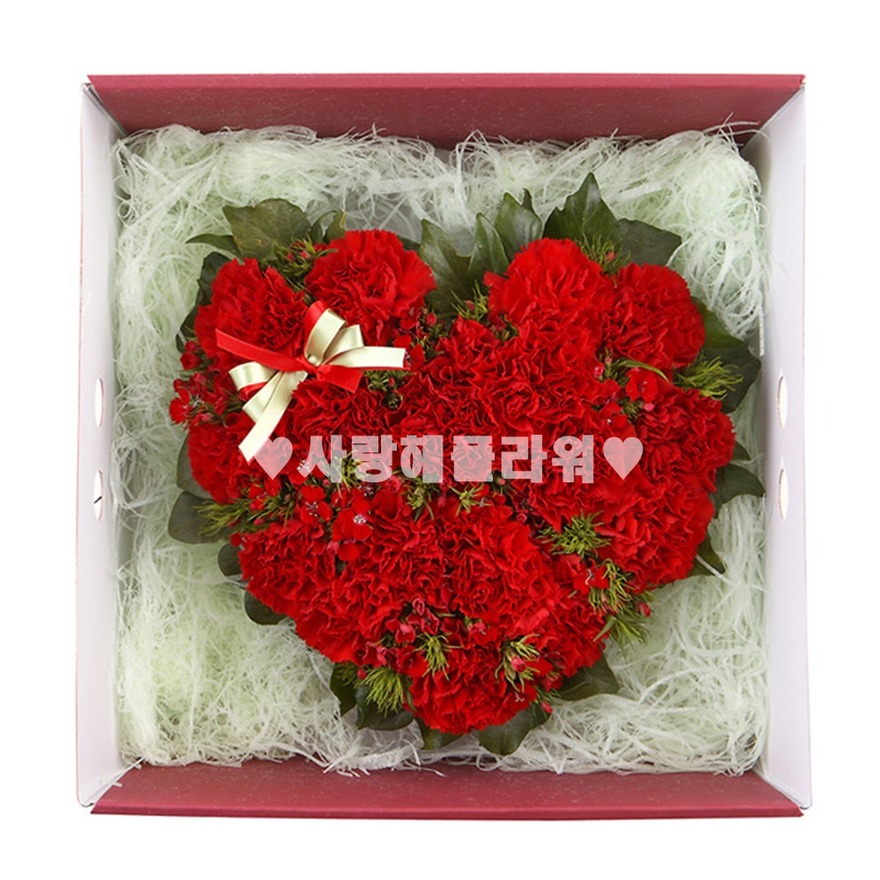 상세이미지