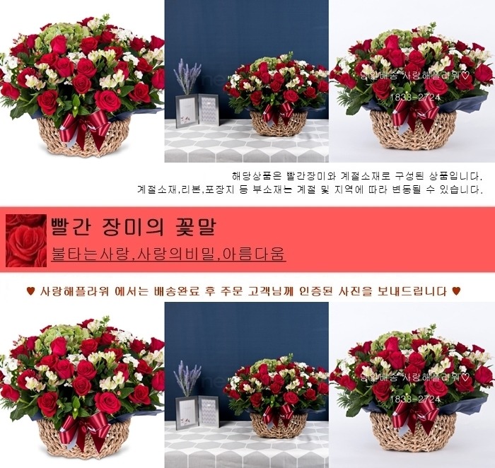 상세이미지