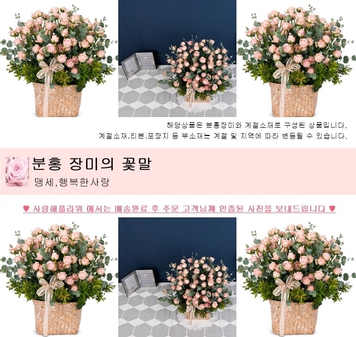 상세이미지