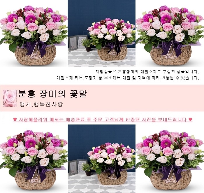 상세이미지