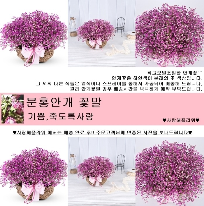 상세이미지