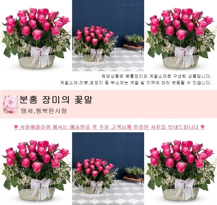 상세이미지
