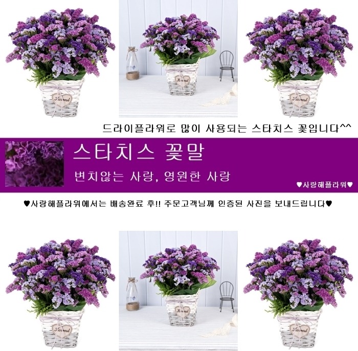 상세이미지
