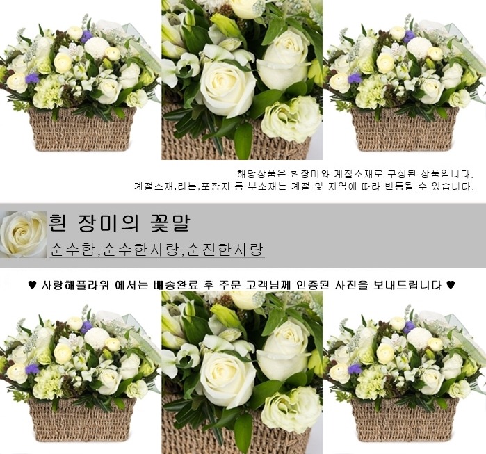 상세이미지