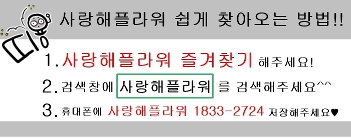상세이미지
