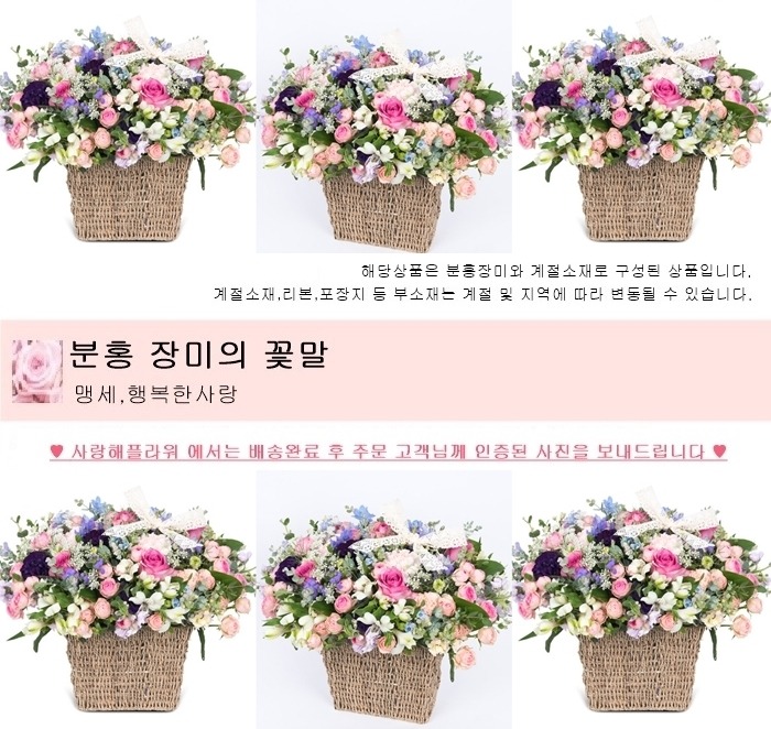상세이미지