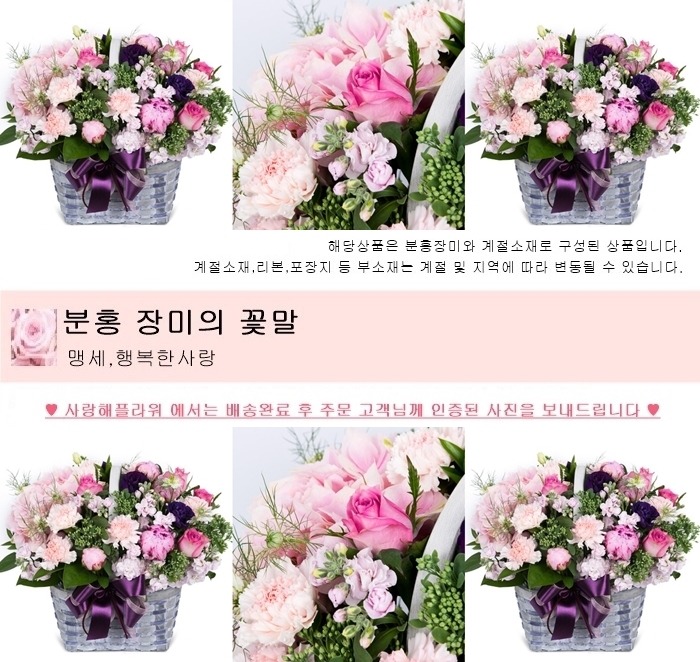 상세이미지