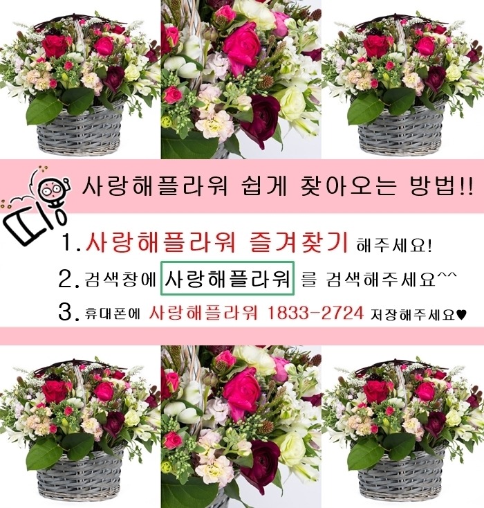 상세이미지