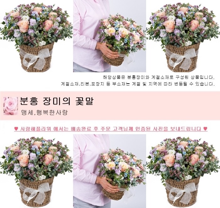 상세이미지