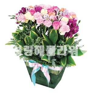 만인의연인
