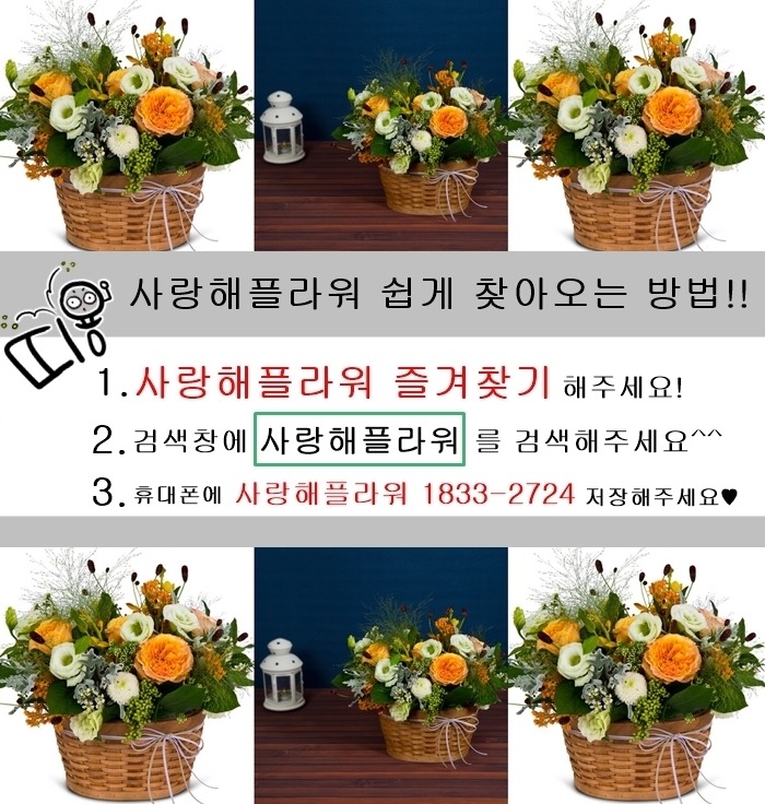 상세이미지