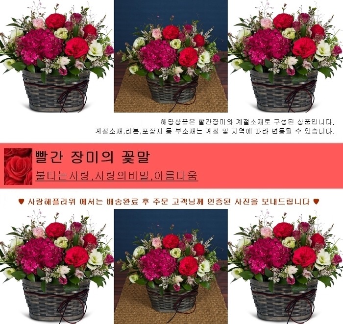 상세이미지