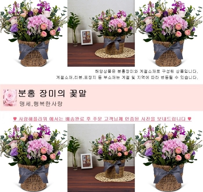 상세이미지
