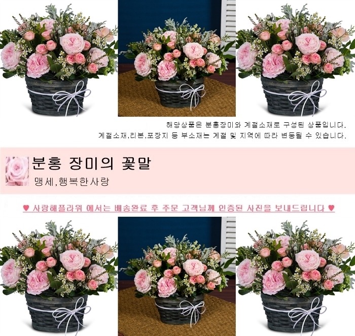 상세이미지