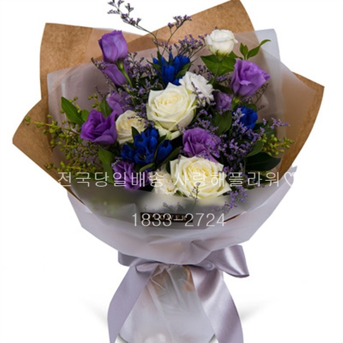 상세이미지