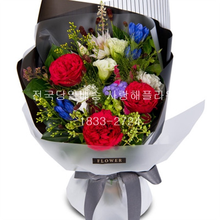 상세이미지