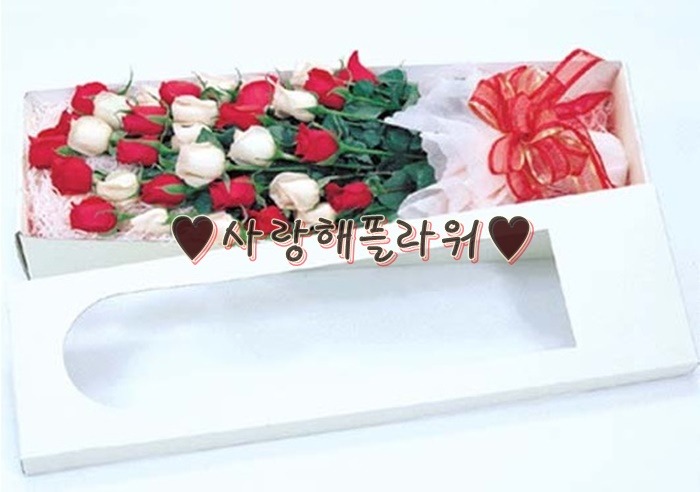 상세이미지