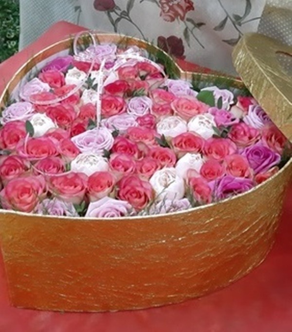 상세이미지