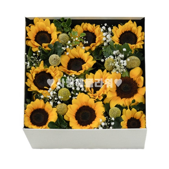 타냐 꽃상자