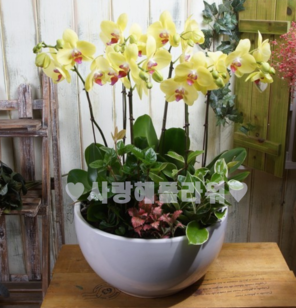6.플럿썬셋