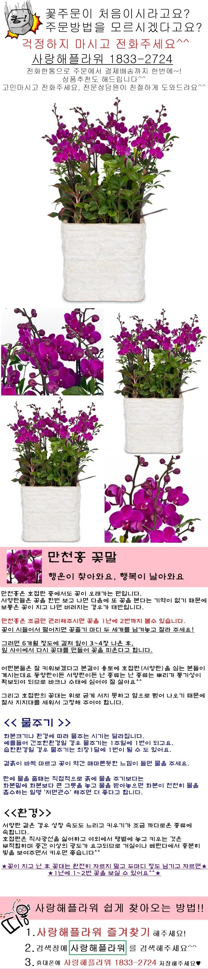 상세이미지