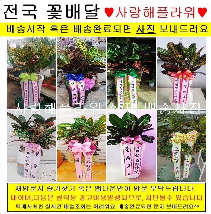 상세이미지