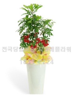 만냥금-고급