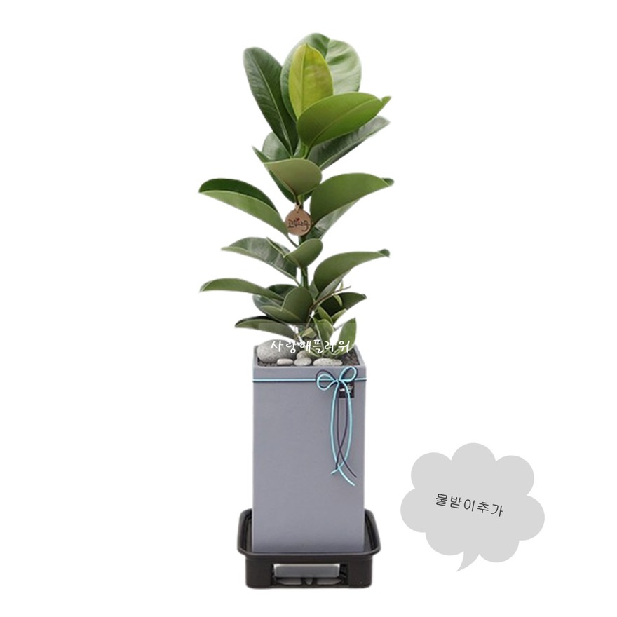 상세이미지