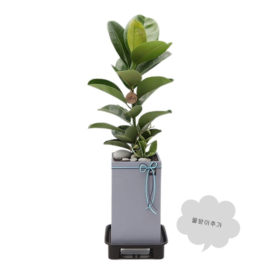 상세이미지
