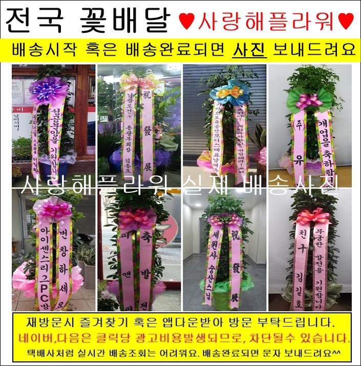 상세이미지